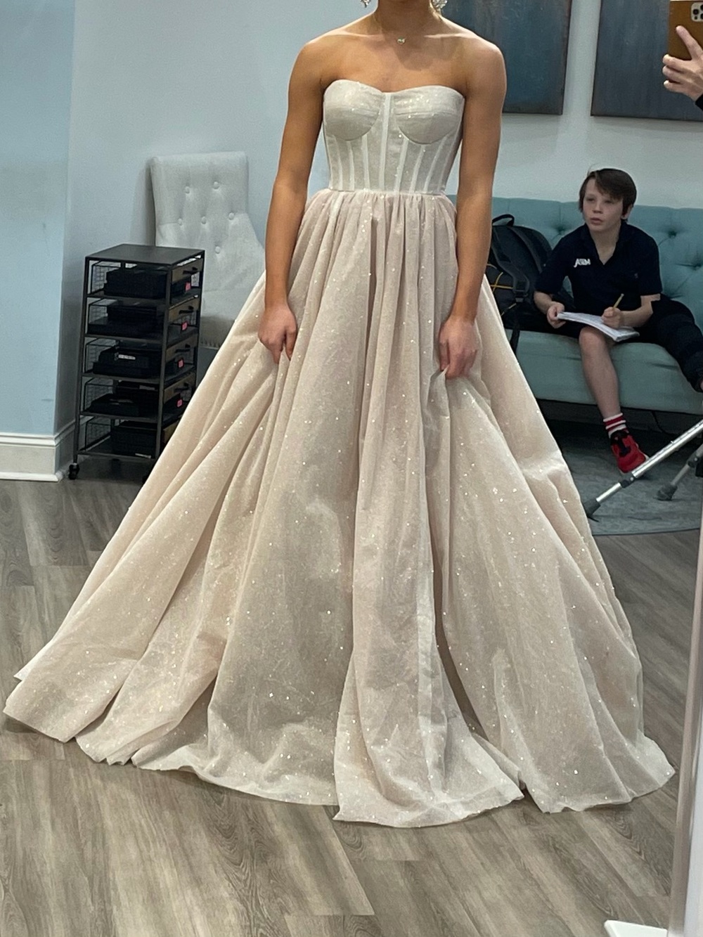 Strapless Glitter Tulle Ball Gown in Blush